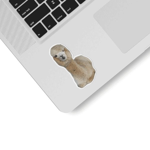 Wodoodporne naklejki PLAYIO z alpakami na różnych przedmiotach