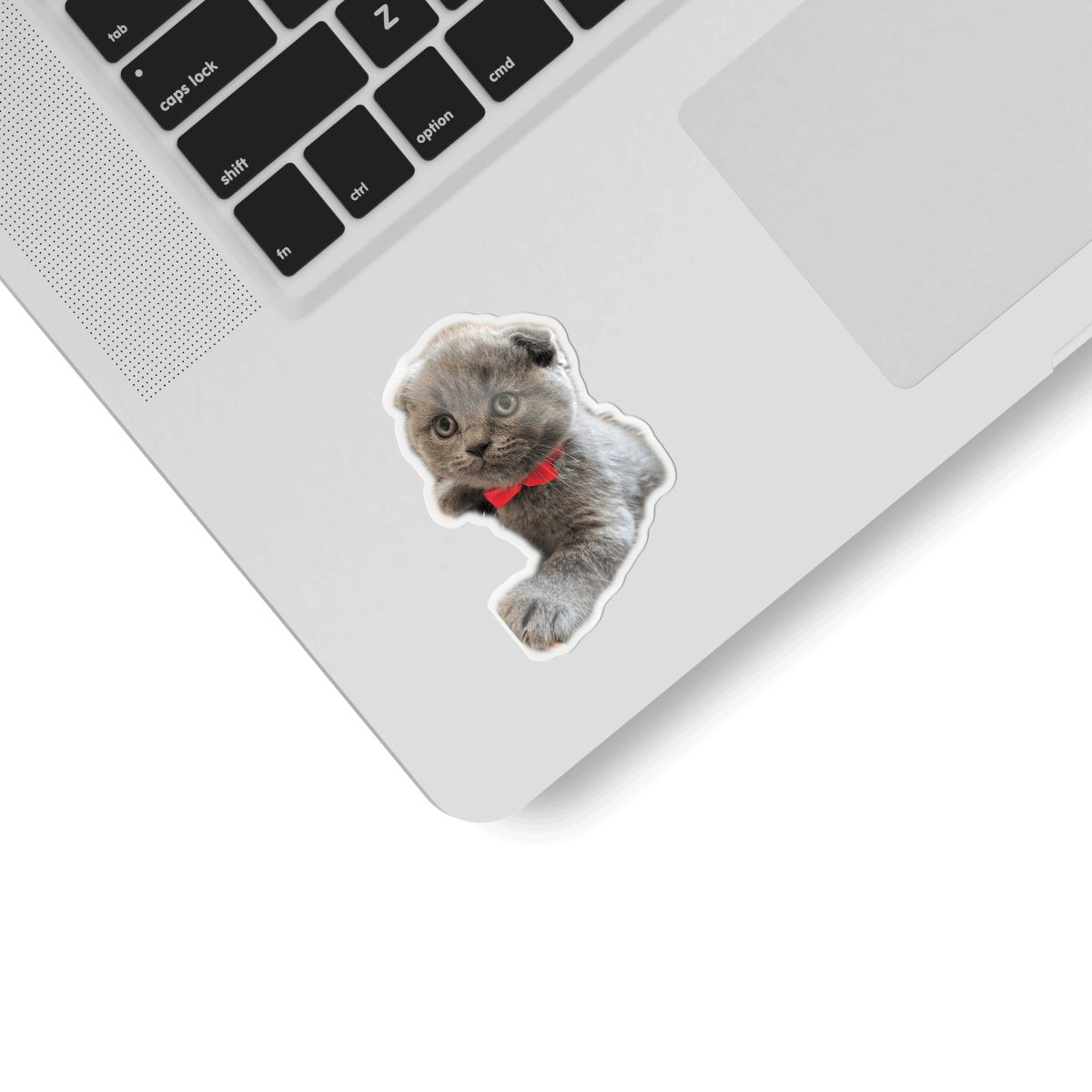 Wodoodporne naklejki PLAYIO z kotami naklejone na srebrny laptop